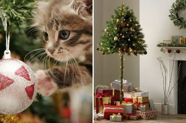 this genius pet proof christmas tree will make cat owners jolly