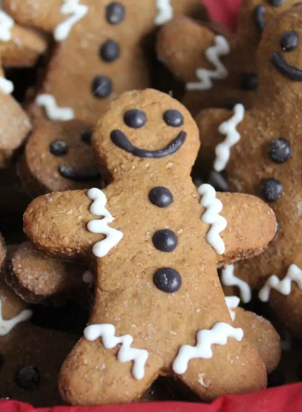 gingerbread dog treat recipe