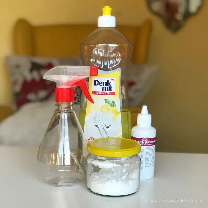 diy pet stain and odor remover