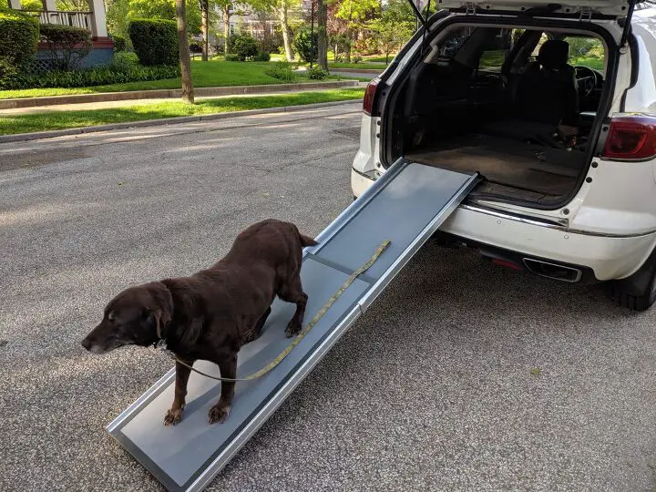 product review solvit dog ramp