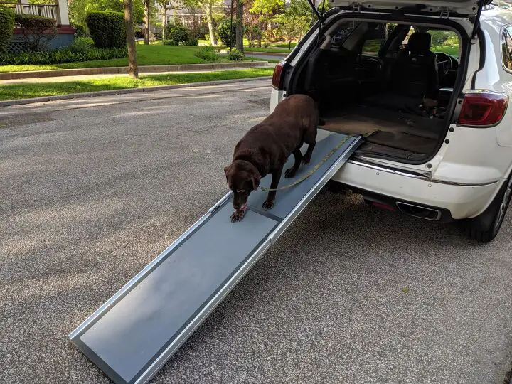 product review solvit dog ramp