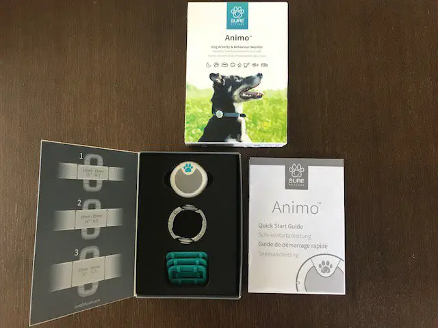 product review animo dog activity and behaviour monitor