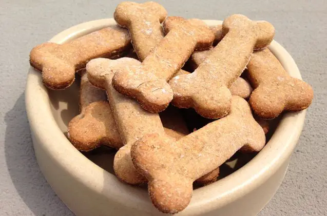 flea repellent dog treat recipe