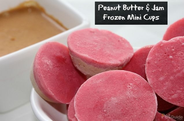 peanut butter jam frozen mini cups