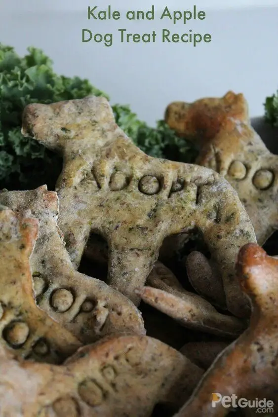 kale and apple dog treat recipe