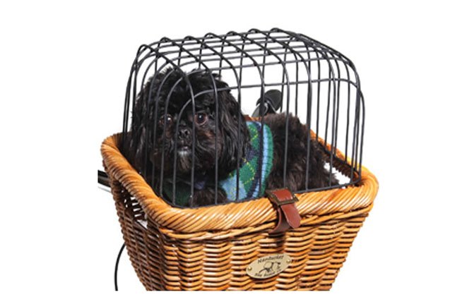 dog bike basket snazzy jazzy pet rattan pet bike basket