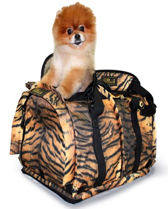 the latest in dog travel essentials from global pet expo