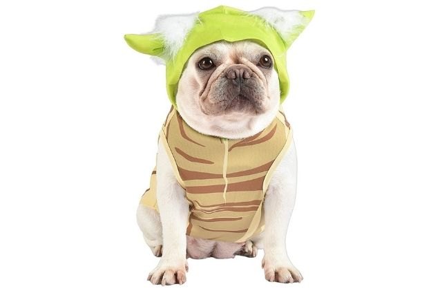 best cute dog halloween costumes