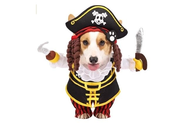 best cute dog halloween costumes