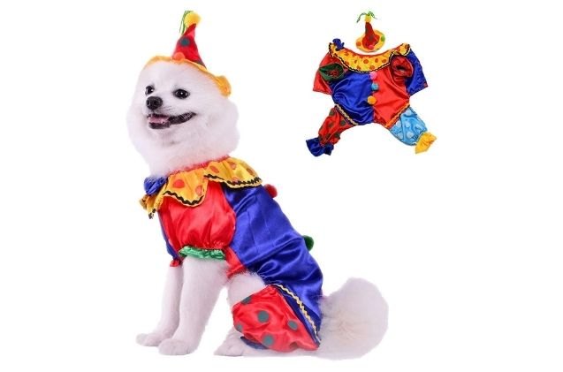 best cute dog halloween costumes