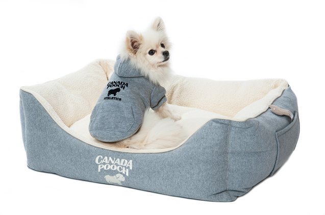 top 10 comfy dog beds