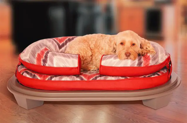 top 10 comfy dog beds