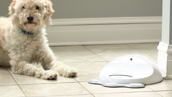 cleverpet game console is woof fi fun for your dog