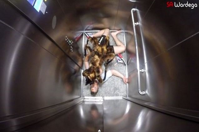 giant mutant spider dog terrifies victims in hilarious prank video