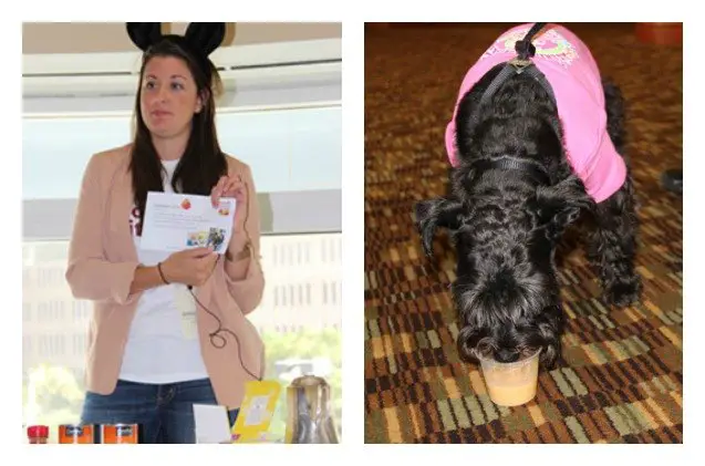 a blast at barkworld barks and meows abound at pet blogger conference