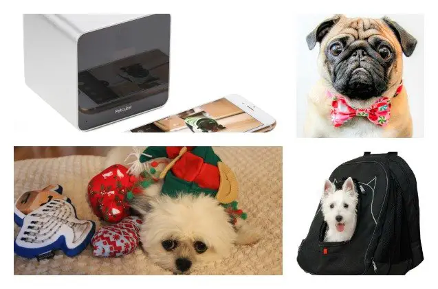 top 10 holiday gift guide for dogs 2014