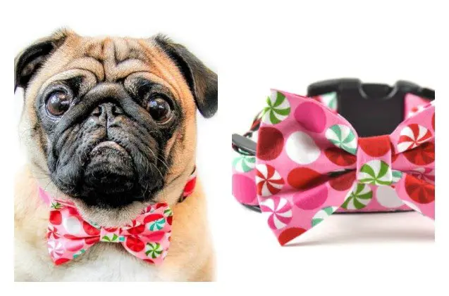 top 10 holiday gift guide for dogs 2014