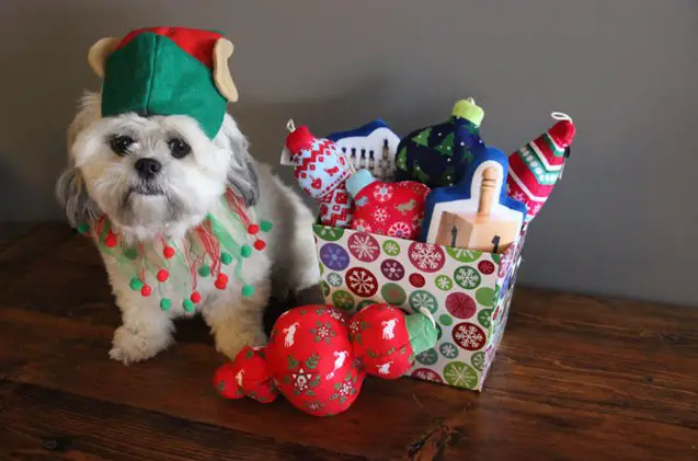 top 10 holiday gift guide for dogs 2014