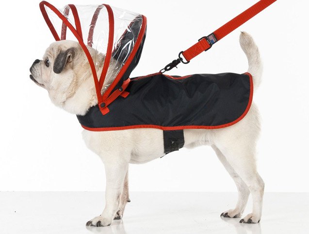 top 10 super fly pet products from skymall