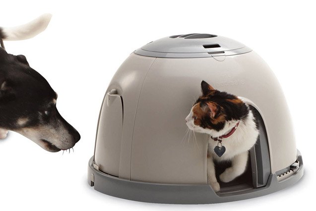 top 10 super fly pet products from skymall