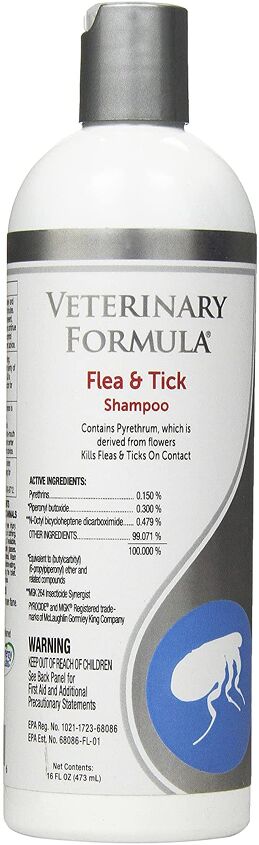 how to treat flea bites on dogs