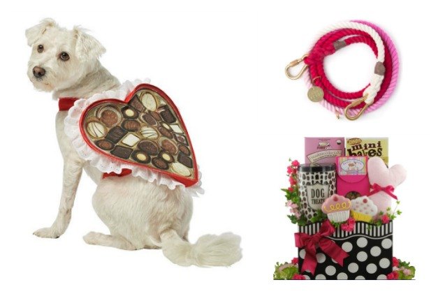 10 valentines day gifts for your puppy love