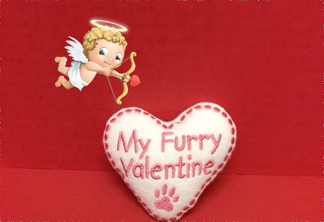 10 valentines day gifts for your puppy love