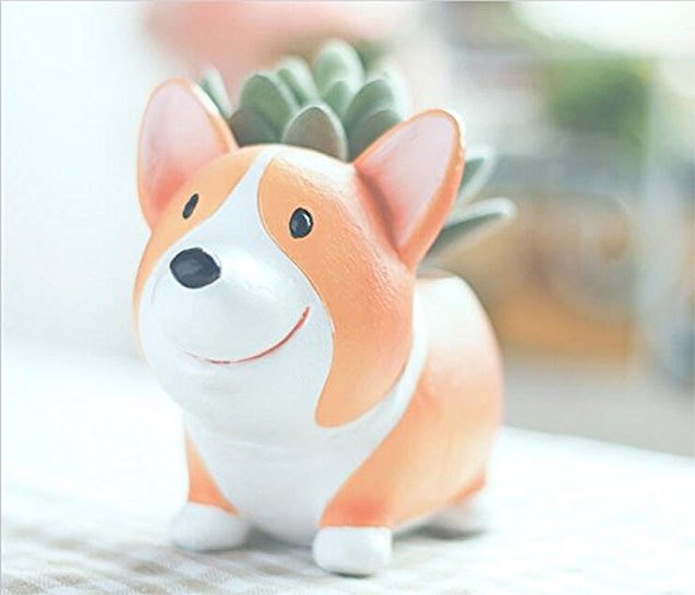 8 pet planters thatll turn your thumb green