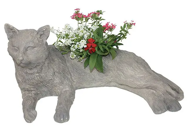 8 pet planters thatll turn your thumb green