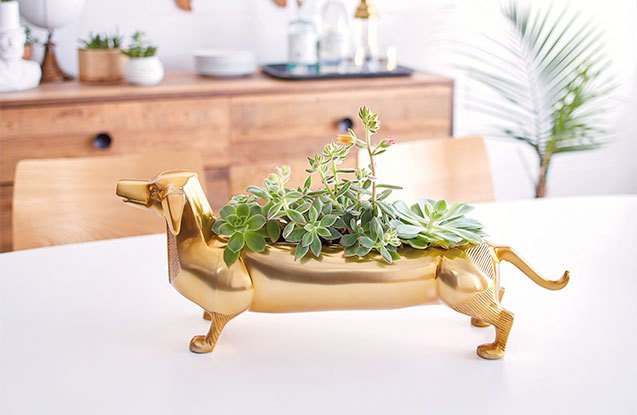 8 pet planters thatll turn your thumb green