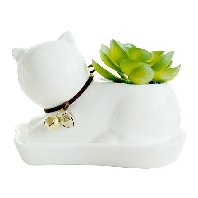 8 pet planters thatll turn your thumb green