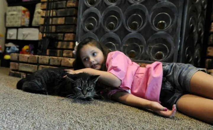 unadoptable cat shares special bond with new furever family