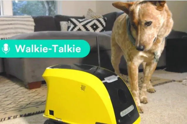 this kickstarter pet robot is bound to be your pets next best fri