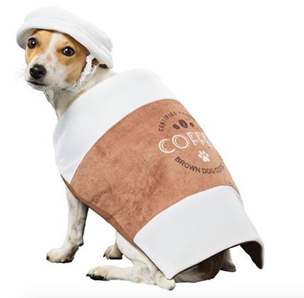 15 dastardly dog costumes for a spooktacular halloween