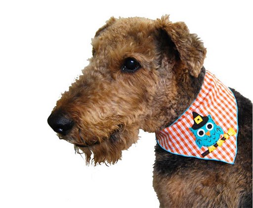 15 dastardly dog costumes for a spooktacular halloween