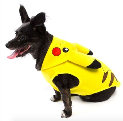 15 dastardly dog costumes for a spooktacular halloween