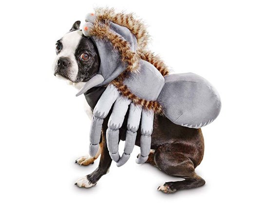 15 dastardly dog costumes for a spooktacular halloween