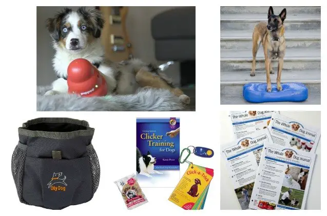 7 gifts for people who love dog training