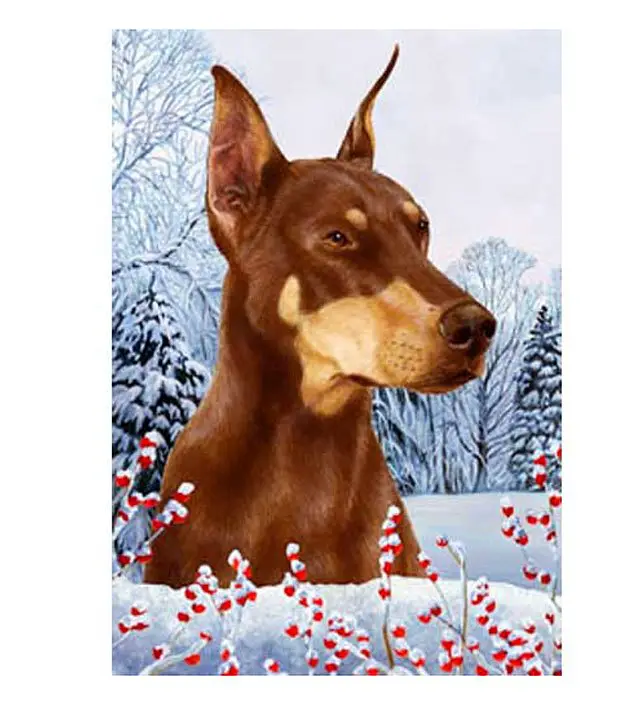 10 dashing doberman doodads