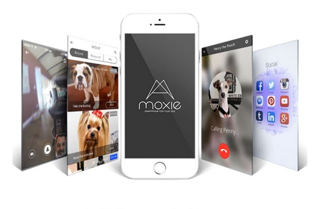 kickstarters moxie is first ever smartphone for pets