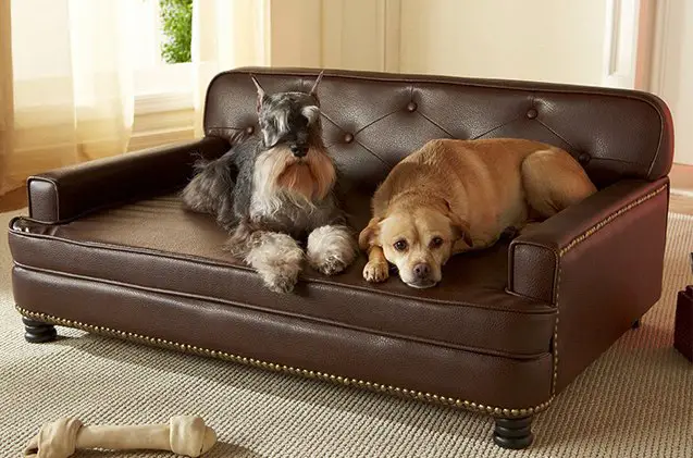 want a dog bed that looks like real furniture