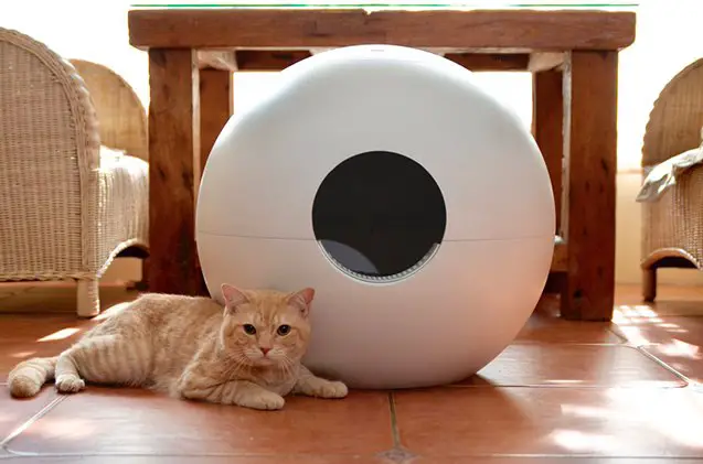 theres a new and clever litter box on kickstarter right now