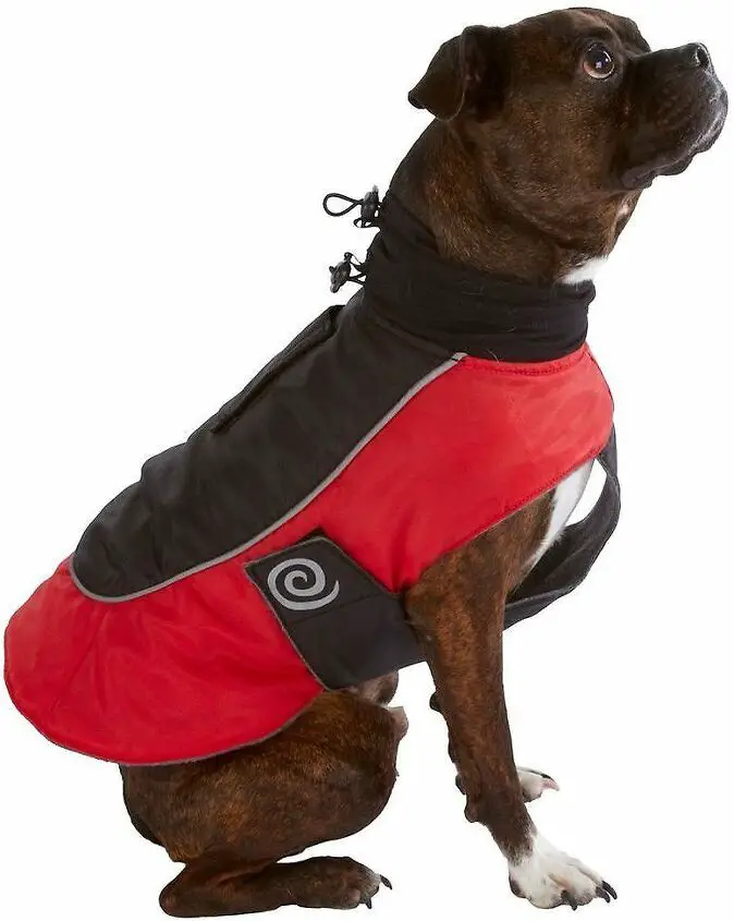 top 10 best winter jackets for dogs