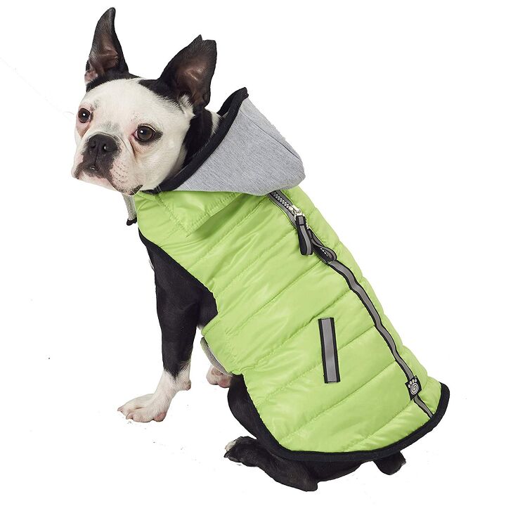 top 10 best winter jackets for dogs